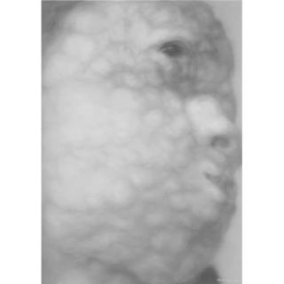 Zhao Nengzhi - 2003 No. 11