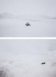 Zhao Renhui - Heavy Oncela and Marezcovas Tortoise