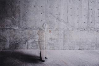 Zhao Renhui - The Institute of Critical Zoologists (The Blind Project)