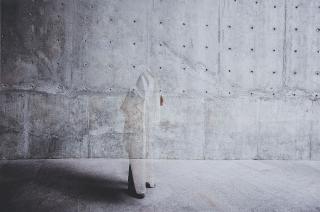 Zhao Renhui - The Institute of Critical Zoologists (The Blind Project)