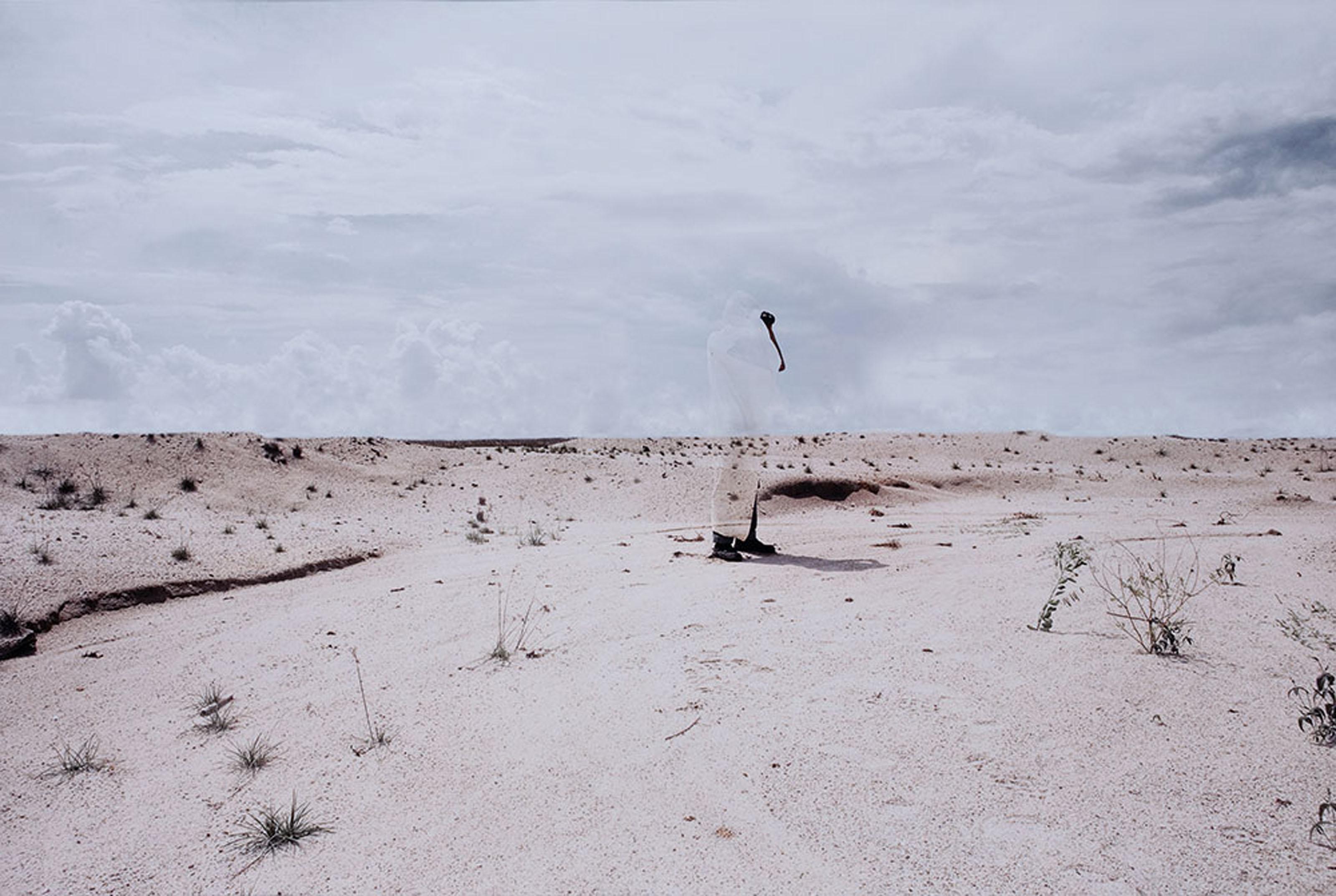 Zhao Renhui - Tottori Sand Dune: Blind Series