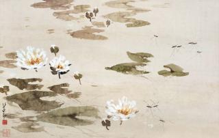 Zhao Shaoang - Water Lilies (Warring States Period To Western Han Dynasty，5Th Century Bc - 1St Century)