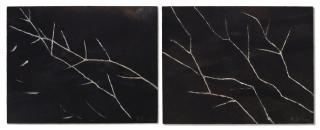 Zhao Zhao - Branches & Branches