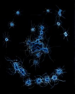 Zhao Zhao - Constellations No.10 (Painted In 2015)