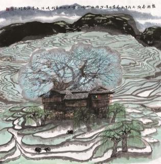 Zhao Zhunwang - Terraced Fields