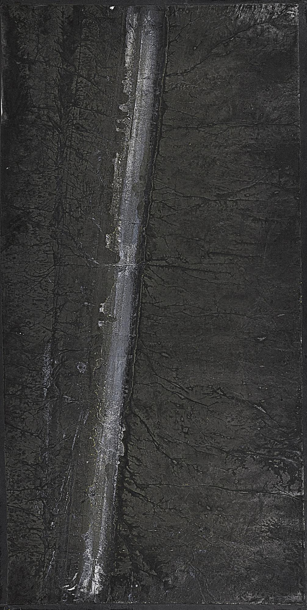 Zheng Chongbin - Accelerated Field