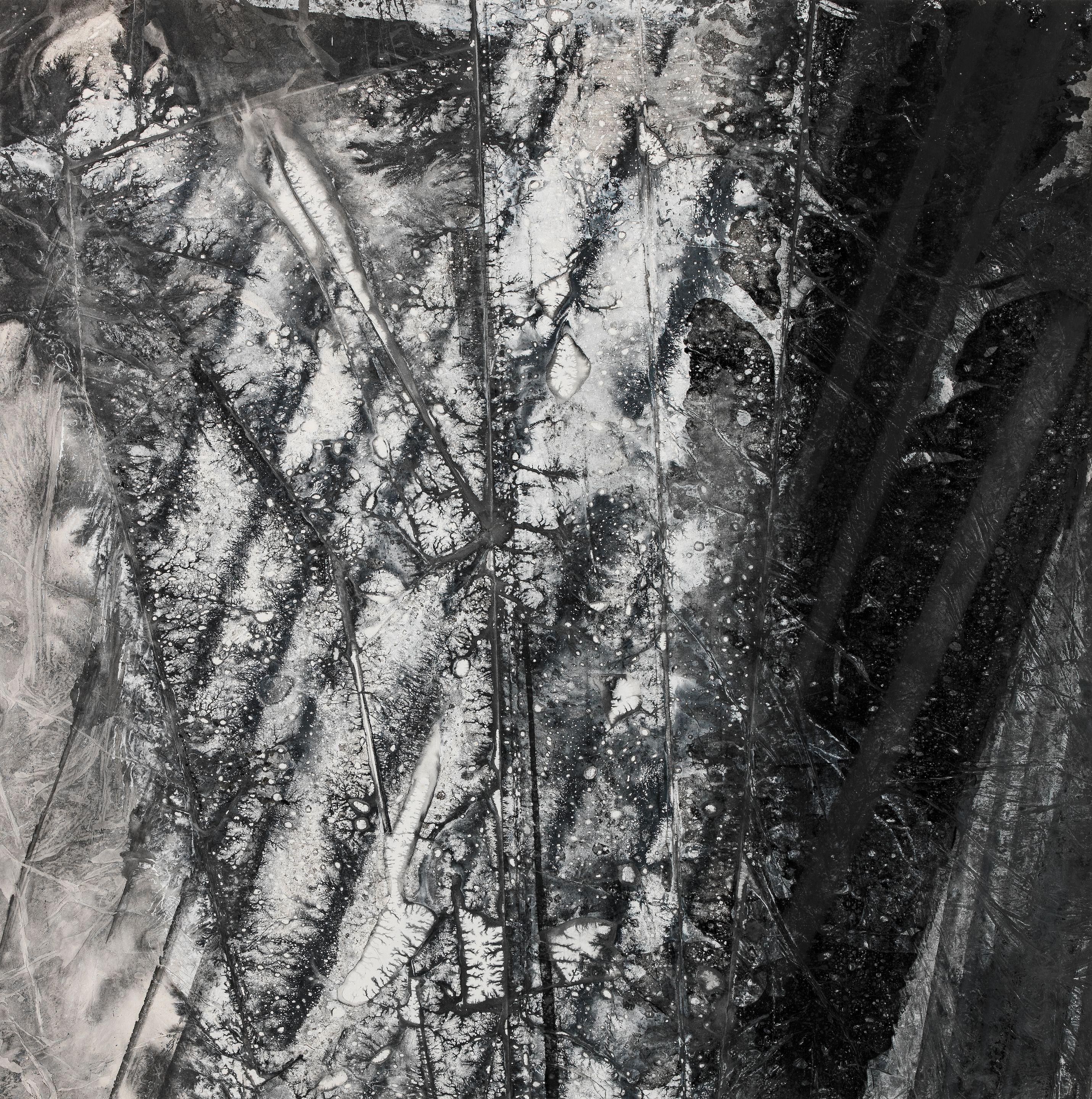 Zheng Chongbin - The Propositions of Alignment (D), 2014