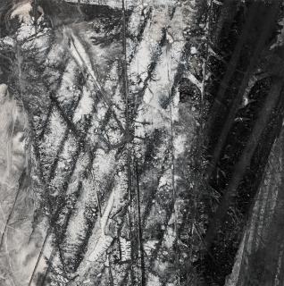 Zheng Chongbin - The Propositions of Alignment (D), 2014