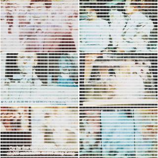 Zheng Guogu - 10,000 Customers (Set Of Twenty)