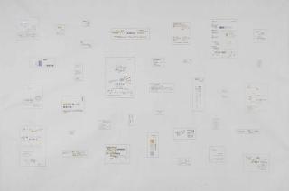 Zheng Guogu - Computer Controlled by Pig\'s Brain No. 70