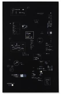 Zheng Guogu - Computer Is Controlled By Pig\'s Brain, No. 20