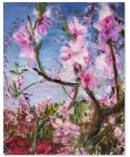 Zhou Chunya - Blooming 