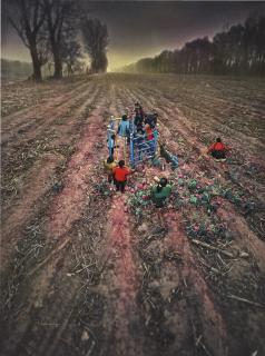 Zhou Jinhua - January 2008 No. 3