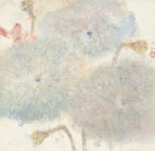 Zhou Sicong - Lotuses