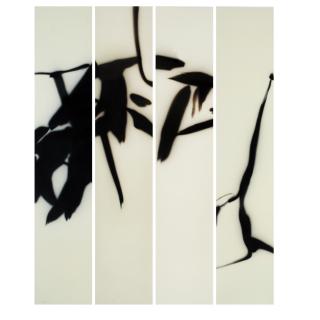 Zhou Tiehai - Bamboo (Set Of Four)