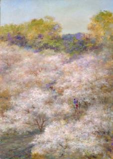 Zhu Shi Jie - Cherry Blossom