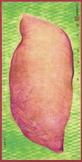 Zhu Wei - Great Sweet Potato, No. 1