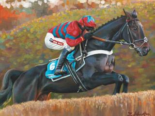 Zoe Johnston - Racehorse - Sprinter Sacre