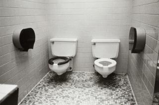 Zoe Leonard - 2 toilets, 1994