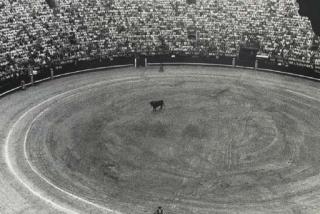 Zoe Leonard - Bullfight I, 1986-1990