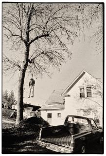 Zoe Leonard - Effigy