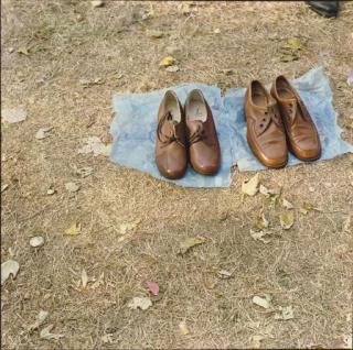 Zoë Leonard - Selected Images, 1999-2001