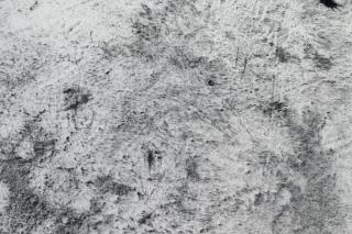 Zoe Leonard - Untitled