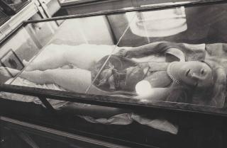 Zoe Leonard - Wax Anatomical Model With Pearls