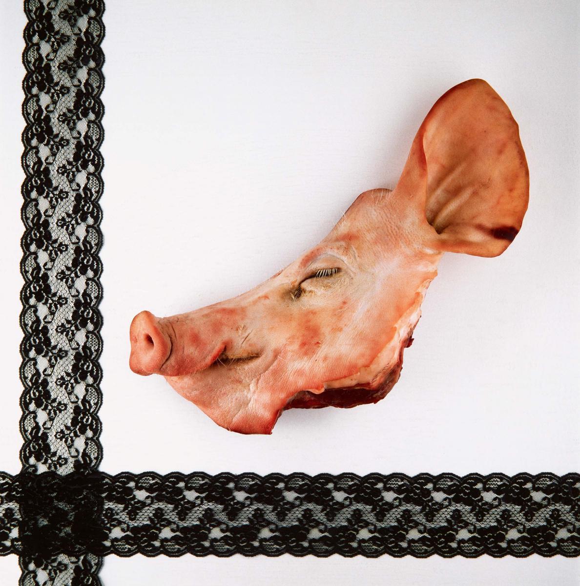 Zofia Kulik - Still Life (3b)