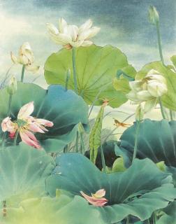 Zou Chuan\'An - Lotus