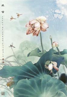 Zou Chuan\'An - Lotus