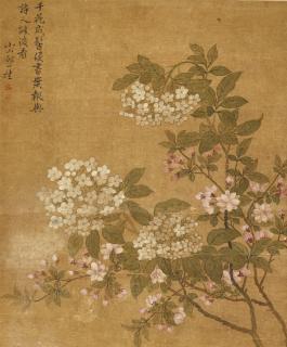 Zou Yigui - Flowers