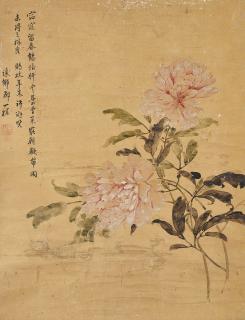 Zou Yigui - Peony