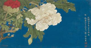 Zou Yigui - Peony