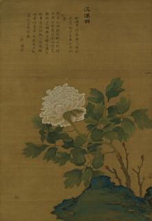 Zou Yigui - White Peony