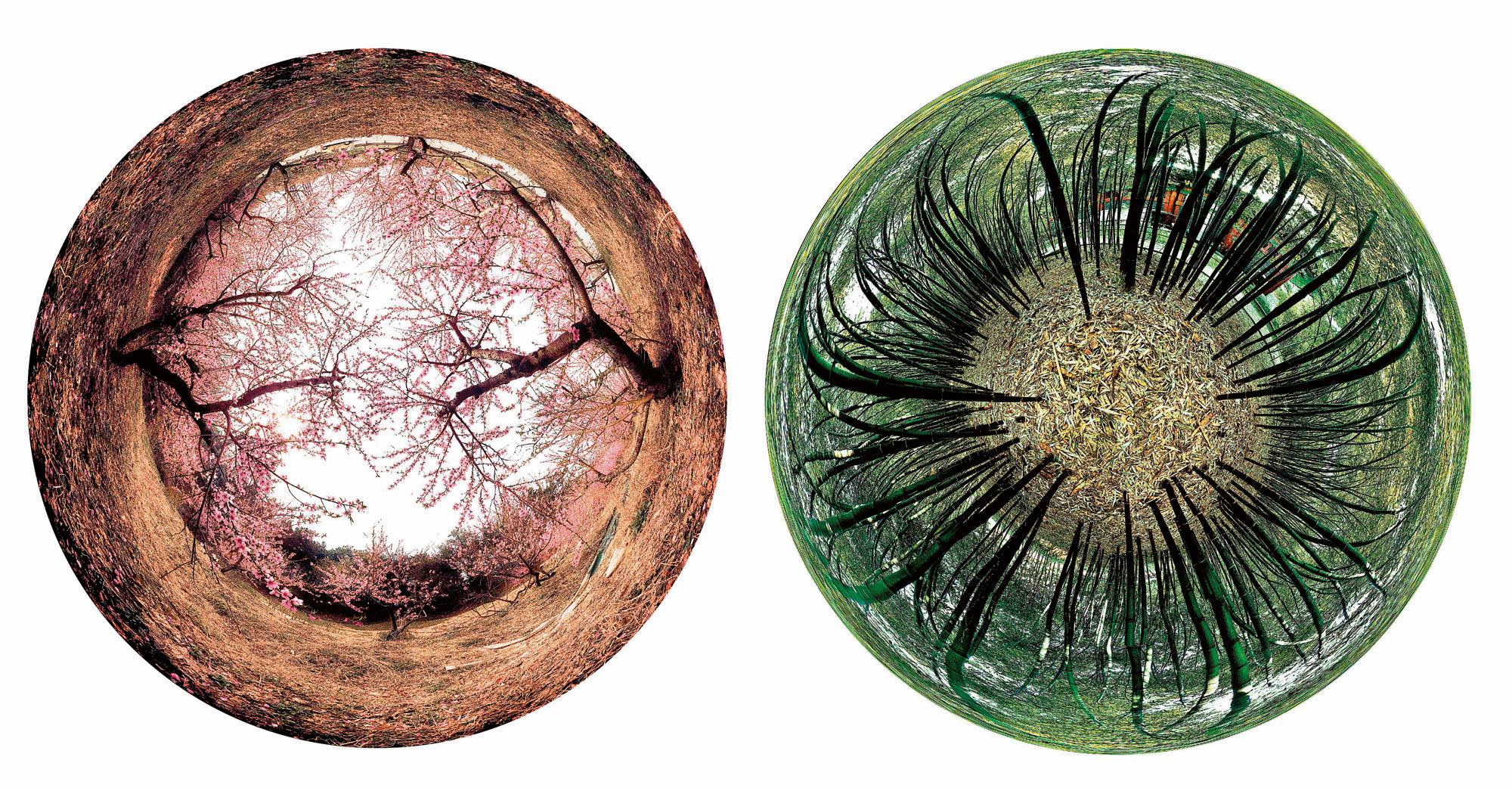 Zu Do Yang - Dohwa 2; & Ojuk