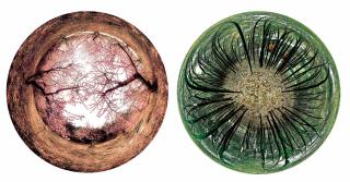 Zu Do Yang - Dohwa 2; & Ojuk