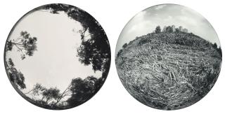 Zu Do Yang - Landscape; & Landscape