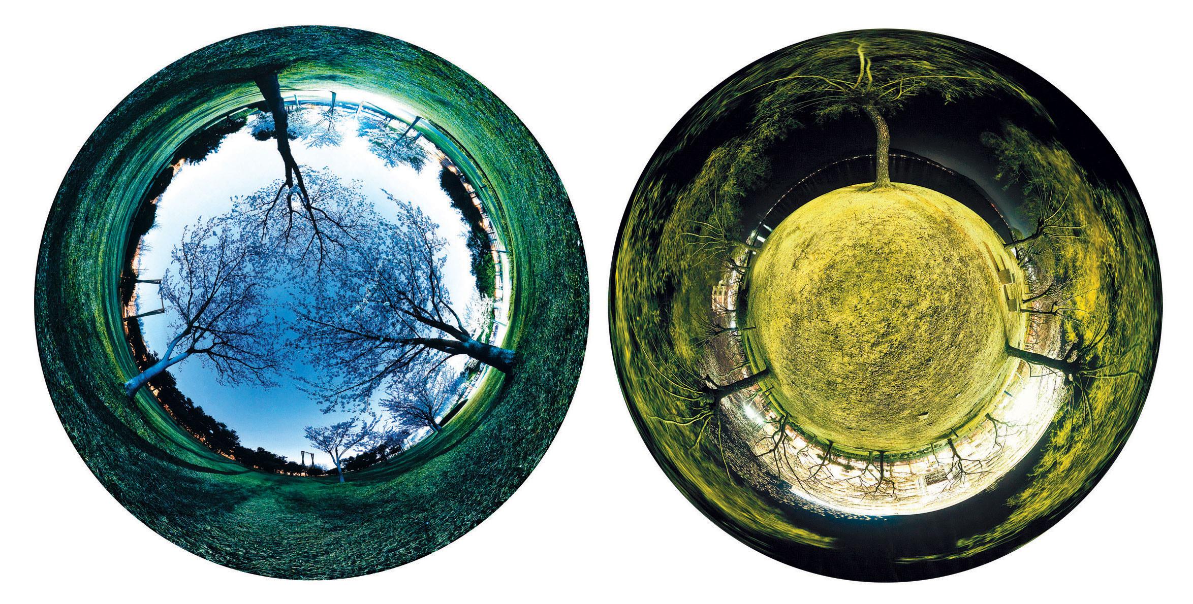 Zu Do Yang - Park 8; & Park 5