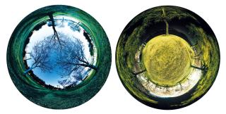 Zu Do Yang - Park 8; & Park 5